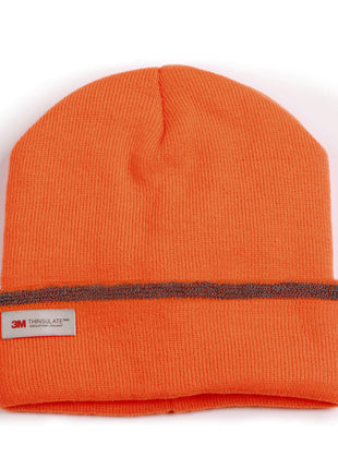 3M® Insulated Beanie With Reflective Stripe (WS-CH23)