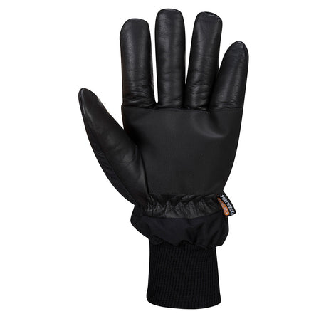 Apacha Cold Store Glove (PW-A751)