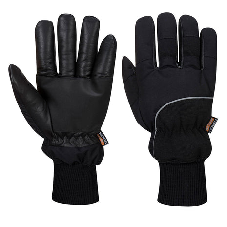 Apacha Cold Store Glove (PW-A751)