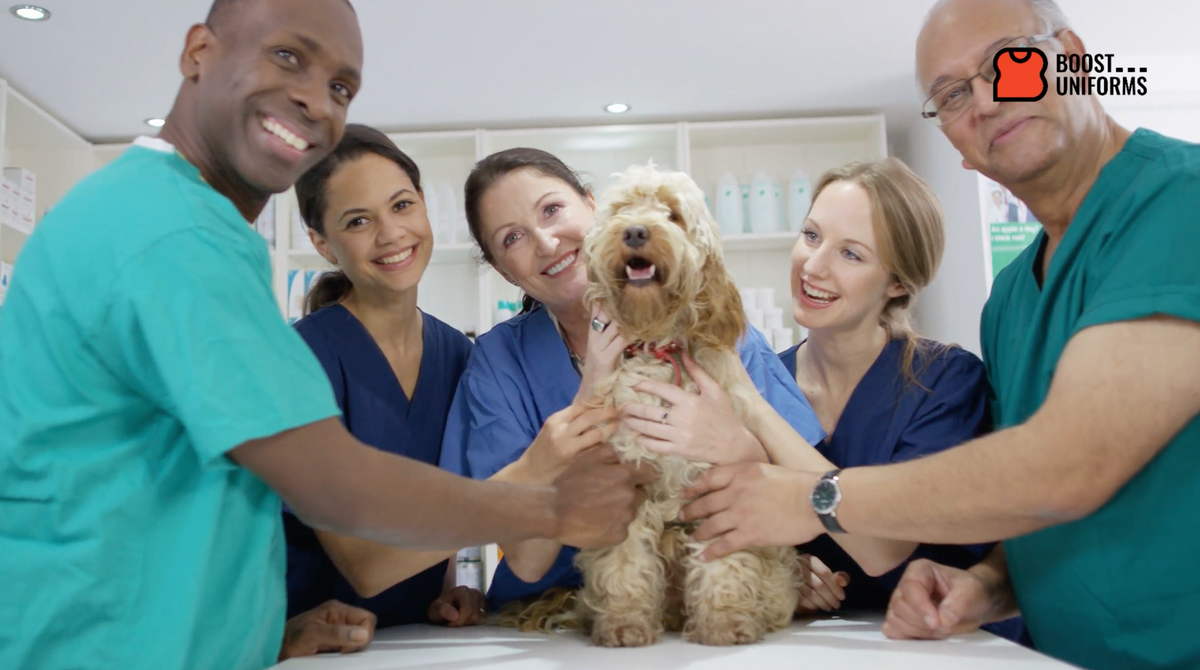 Trusted by Australia's Leading Veterinary and Pet Care Organisations
